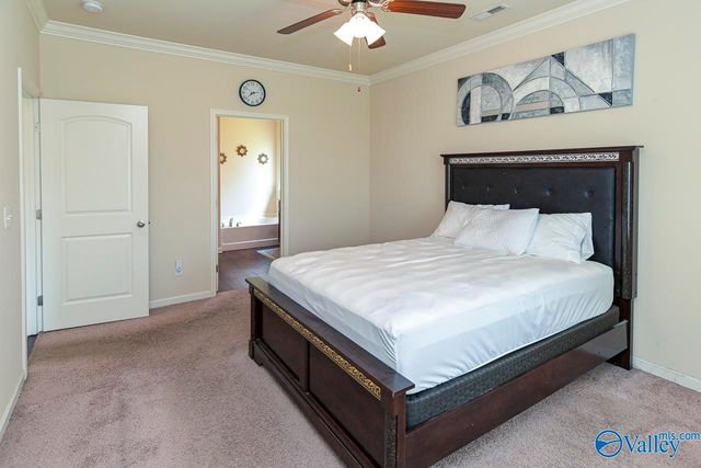 352 Harbor Glen Drive, Madison, AL 35756