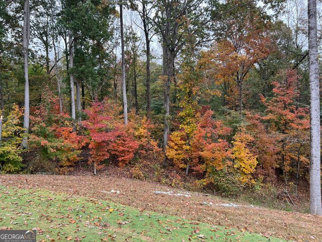 561 Oconee Lane, Commerce, GA 30529