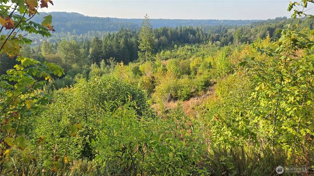 16001 223rd Avenue E, Orting, WA 98360