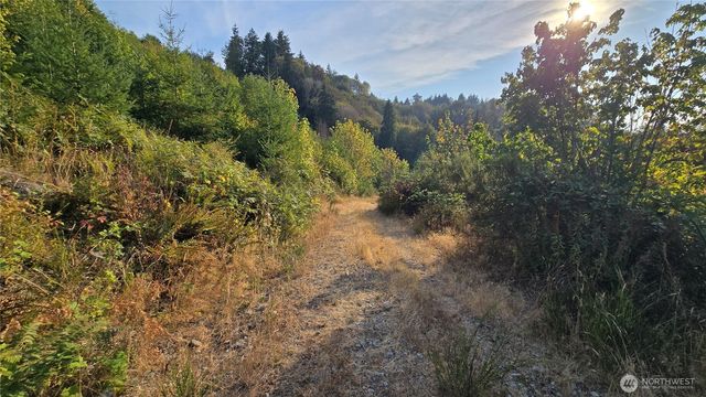 16001 223rd Avenue E, Orting, WA 98360