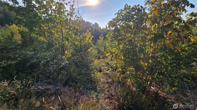 16001 223rd Avenue E, Orting, WA 98360