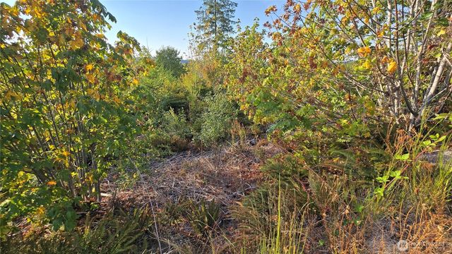 16001 223rd Avenue E, Orting, WA 98360