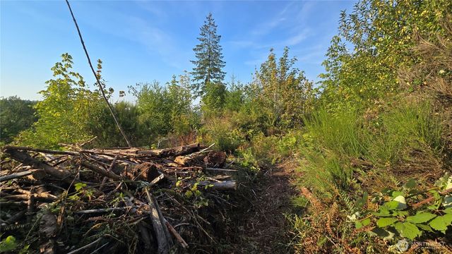 16001 223rd Avenue E, Orting, WA 98360