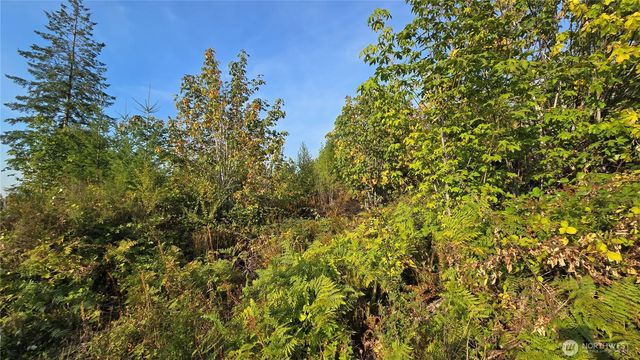 16001 223rd Avenue E, Orting, WA 98360