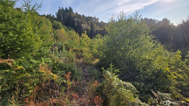 16001 223rd Avenue E, Orting, WA 98360