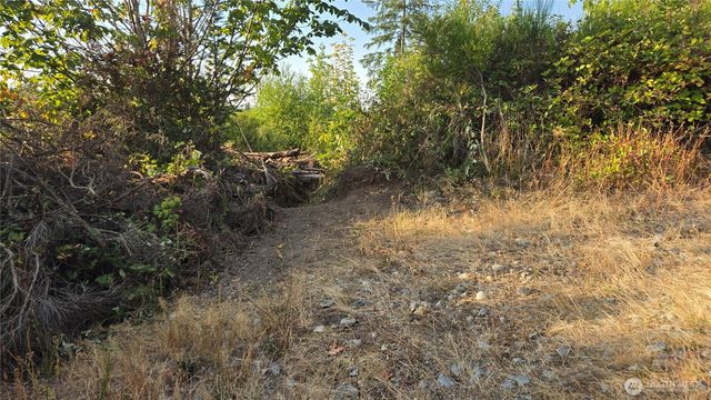 16001 223rd Avenue E, Orting, WA 98360