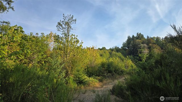 16001 223rd Avenue E, Orting, WA 98360