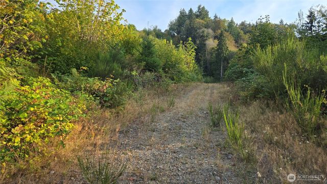 16001 223rd Avenue E, Orting, WA 98360