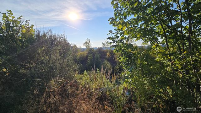 16001 223rd Avenue E, Orting, WA 98360