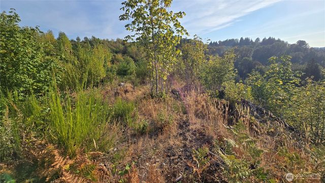 16001 223rd Avenue E, Orting, WA 98360