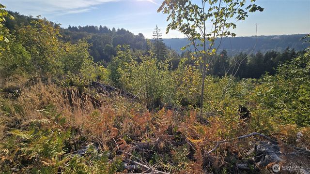 16001 223rd Avenue E, Orting, WA 98360