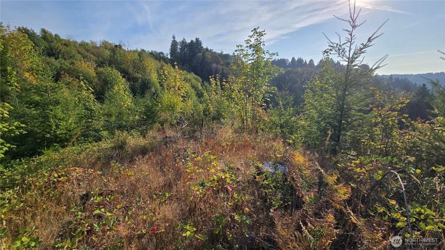 16001 223rd Avenue E, Orting, WA 98360