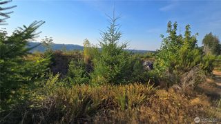 16001 223rd Avenue E, Orting, WA 98360
