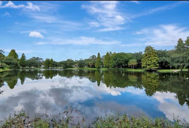 1003 E COMANCHE AVENUE, Tampa, FL 33604