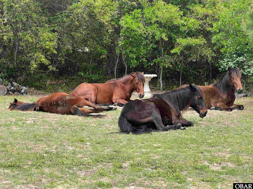 Image 28 of property listing at 1620 Sandpiper Road Lot 2, Corolla, NC 27927