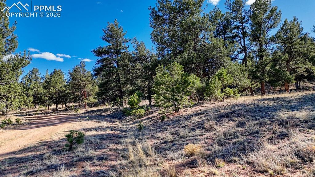Lot 5124 Arikara Trail, Hartsel, CO 80449 — exterior