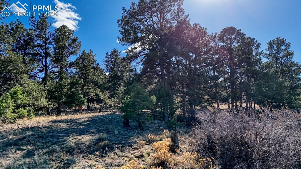Lot 5124 Arikara Trail, Hartsel, CO 80449 — photo 2