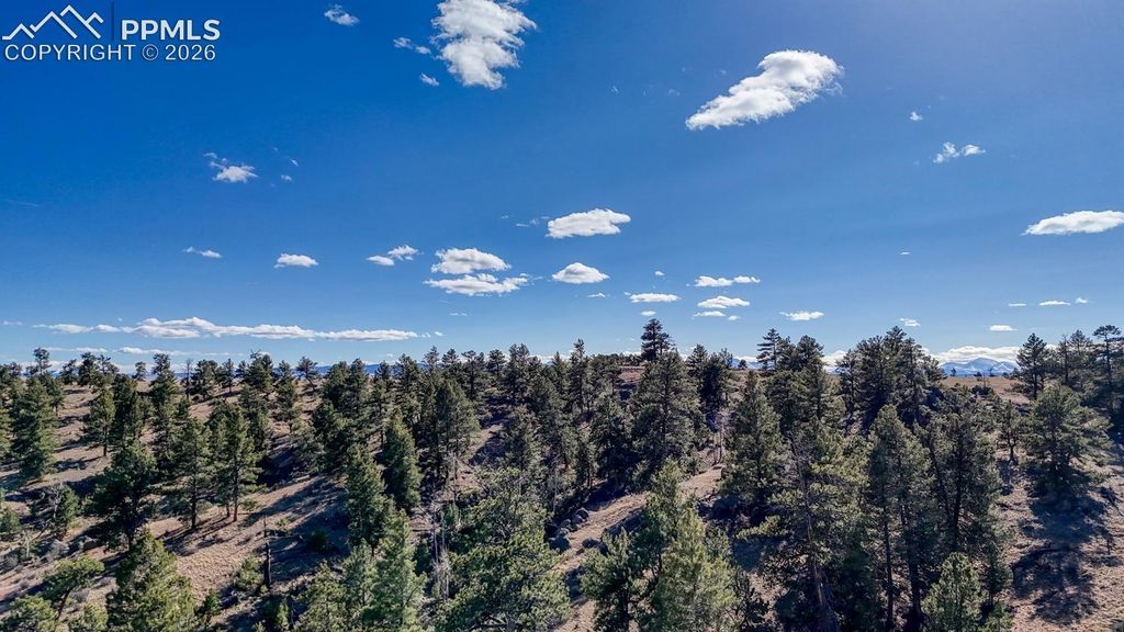 Lot 5124 Arikara Trail, Hartsel, CO 80449 — photo 5