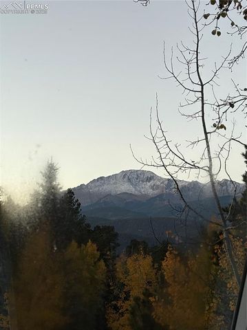 880 Sun Valley Drive, Woodland Park, CO 80863