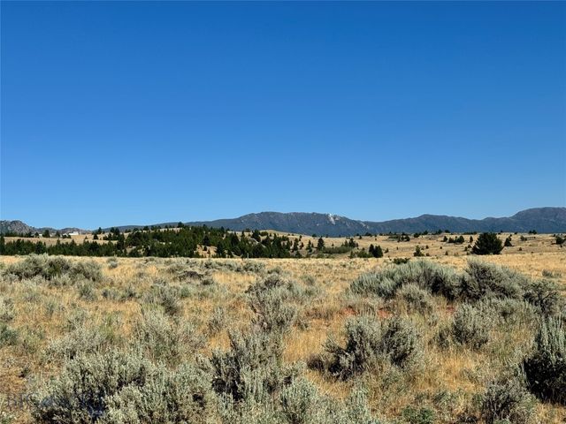 The Damon, Walkerville, MT 59701