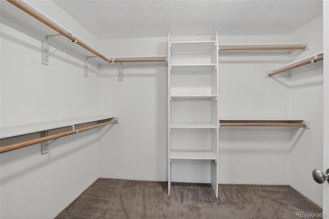 2018 Cheshire Street, Fort Collins, CO 80526