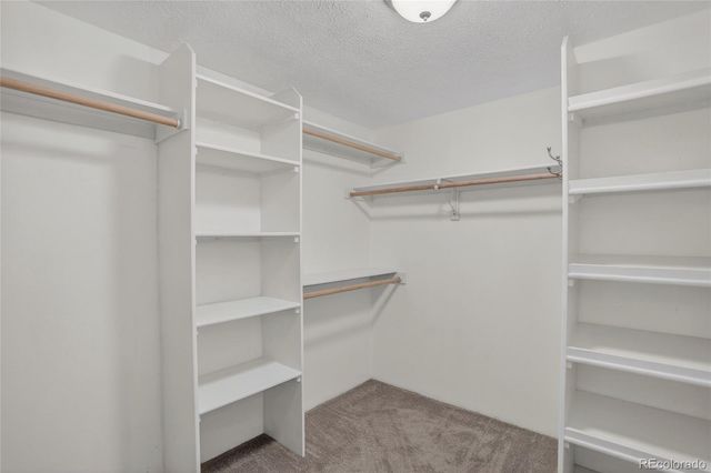 2018 Cheshire Street, Fort Collins, CO 80526