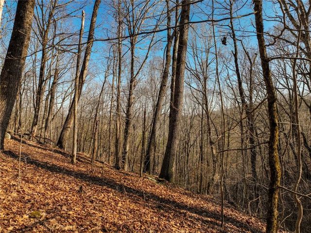 Lot 10 Mount Mincie Road, Murrayville, GA 30564