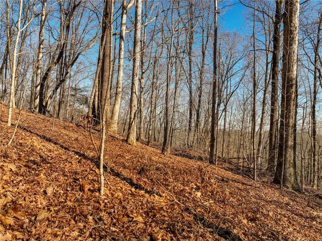 Lot 10 Mount Mincie Road, Murrayville, GA 30564