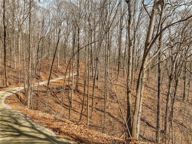 Lot 10 Mount Mincie Road, Murrayville, GA 30564