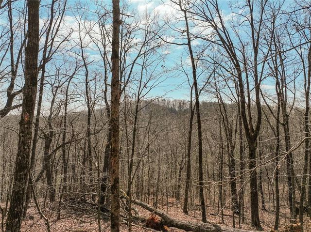 Lot 10 Mount Mincie Road, Murrayville, GA 30564