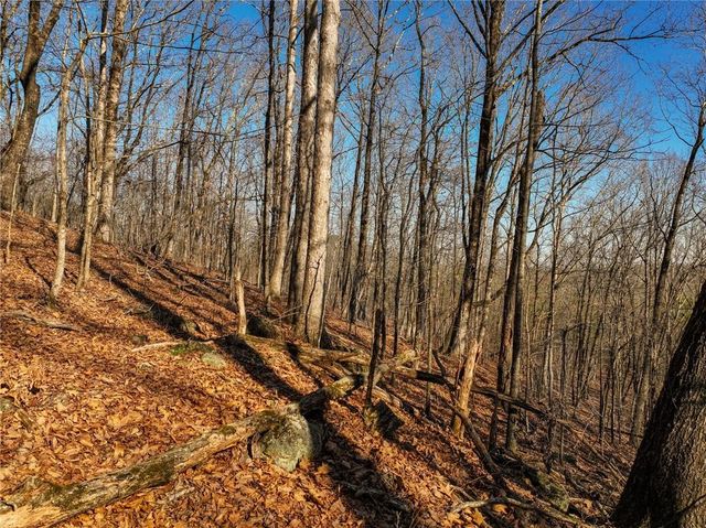 Lot 10 Mount Mincie Road, Murrayville, GA 30564