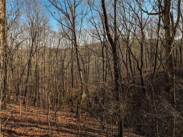 Lot 10 Mount Mincie Road, Murrayville, GA 30564