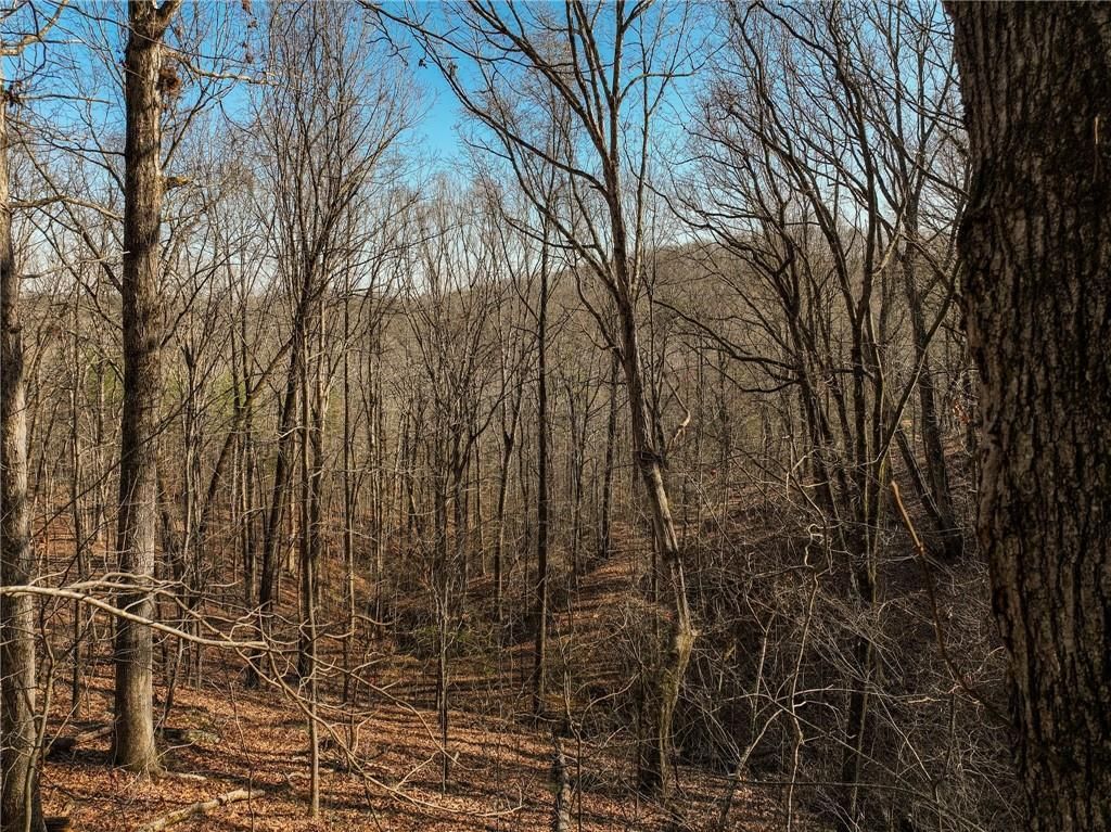 Lot 10 Mount Mincie Road, Murrayville, GA 30564