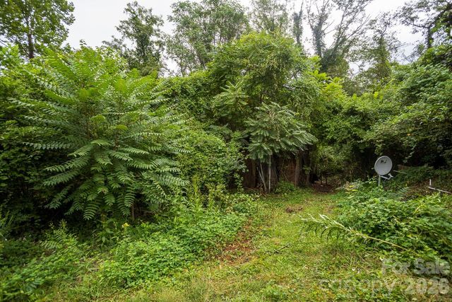 55 Blalock Avenue, Asheville, NC 28803