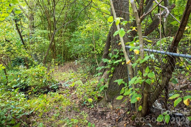 55 Blalock Avenue, Asheville, NC 28803