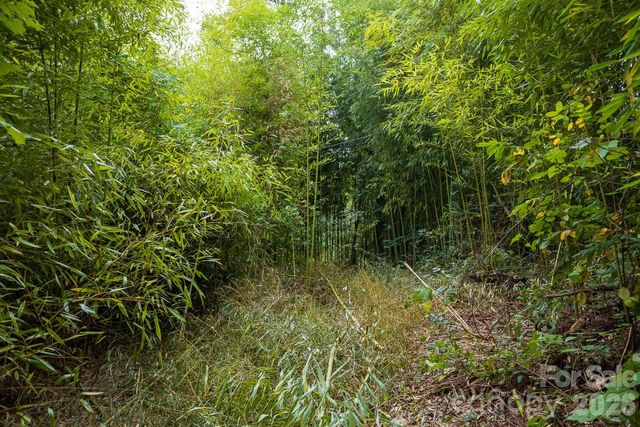 55 Blalock Avenue, Asheville, NC 28803