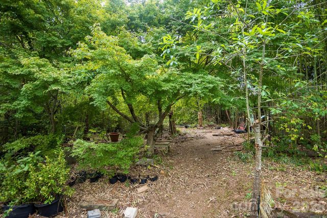 55 Blalock Avenue, Asheville, NC 28803