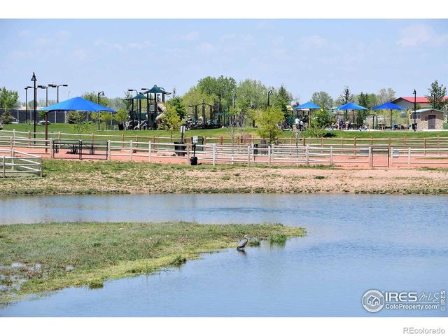 3268 White Buffalo Drive, Wellington, CO 80549