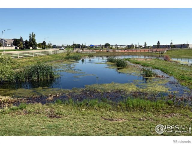 3268 White Buffalo Drive, Wellington, CO 80549