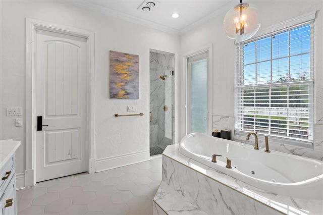 11410 TROTTING DOWN DRIVE, Odessa, FL 33556