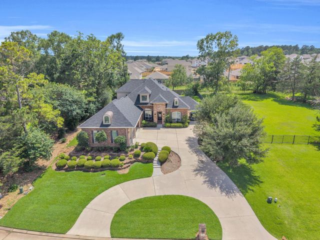 266 Blue Heron Drive, Montgomery, TX 77316
