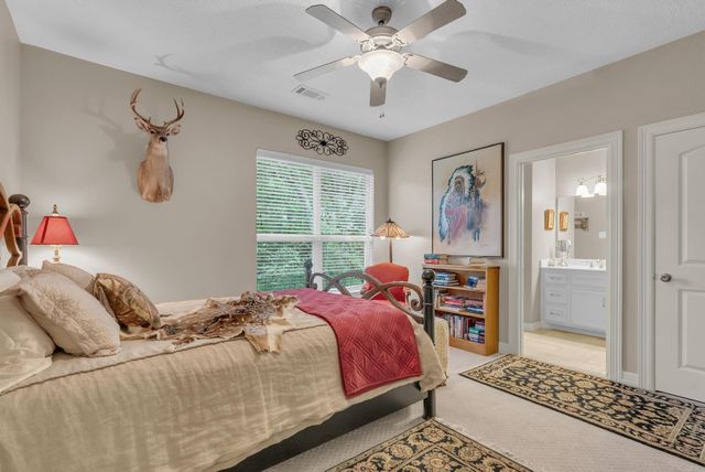 266 Blue Heron Drive, Montgomery, TX 77316