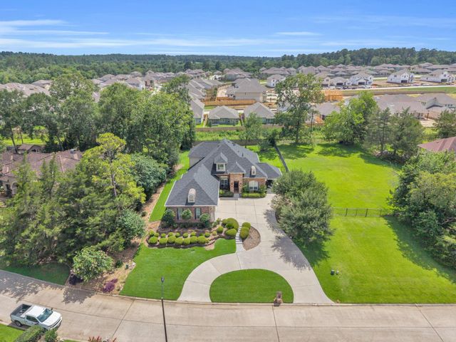 266 Blue Heron Drive, Montgomery, TX 77316
