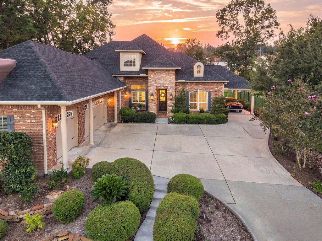 266 Blue Heron Drive, Montgomery, TX 77316