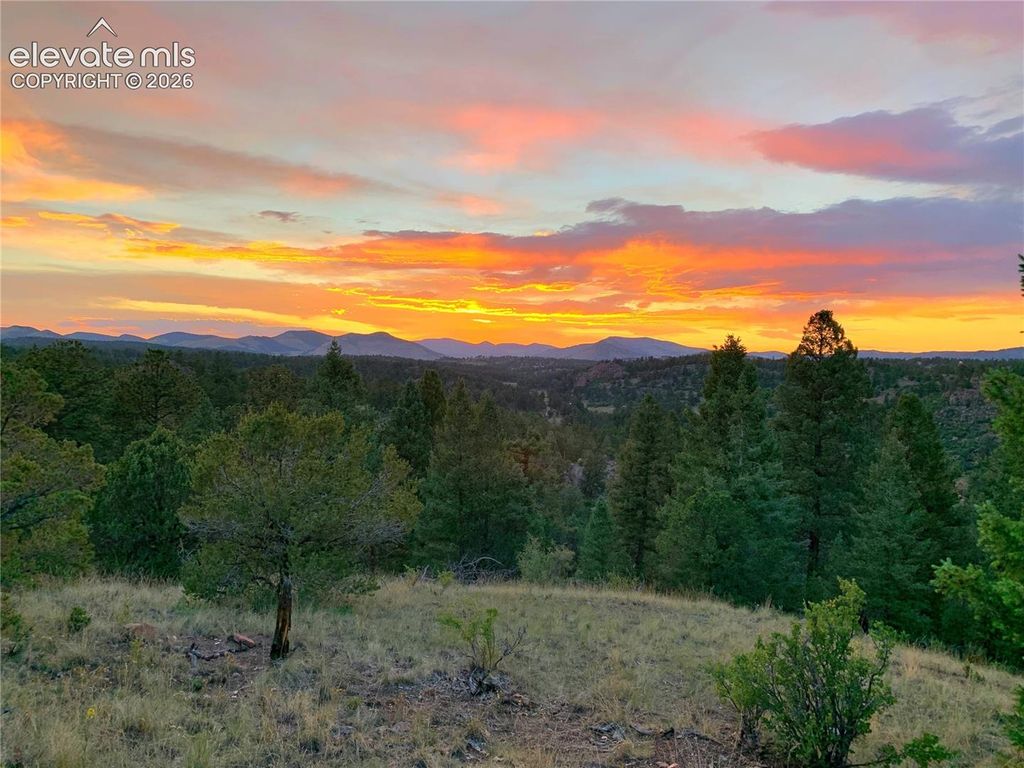 986 Apache Road, Florissant, CO 80816 — photo 3