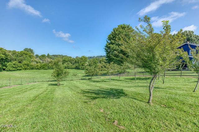 419 Kitzmiller Road, Gray, TN 37615