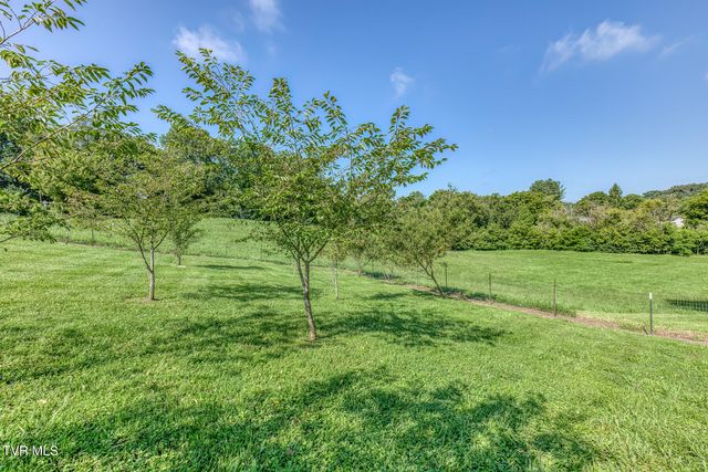 419 Kitzmiller Road, Gray, TN 37615