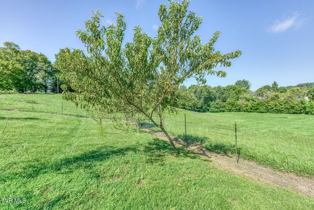 419 Kitzmiller Road, Gray, TN 37615