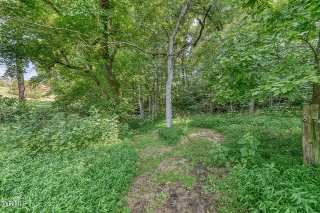 419 Kitzmiller Road, Gray, TN 37615
