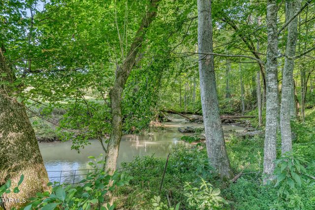 419 Kitzmiller Road, Gray, TN 37615